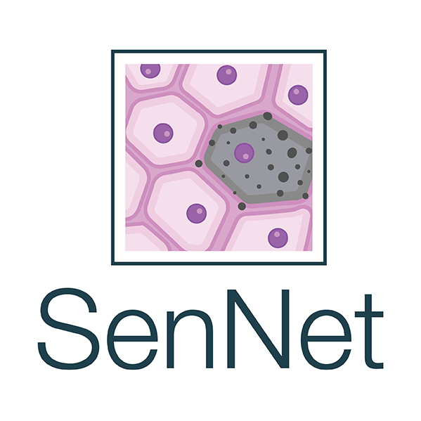 The National Institutes of Health logo for the SenNet program.